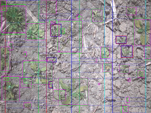 Real-time detection · bounding boxes